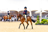 Royal Windsor Horse Show