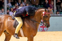 Royal Windsor Horse Show