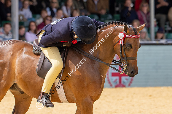 Royal Windsor Horse Show