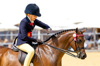Royal Windsor Horse Show