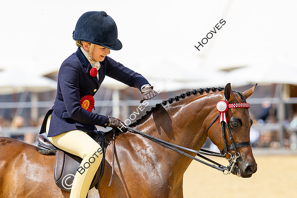 Royal Windsor Horse Show