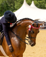 Royal Windsor Horse Show