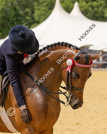 Royal Windsor Horse Show