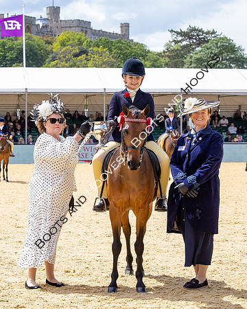 Royal Windsor Horse Show