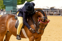 Royal Windsor Horse Show