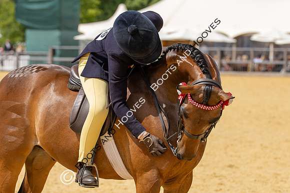 Royal Windsor Horse Show