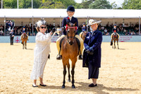 Royal Windsor Horse Show