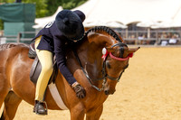 Royal Windsor Horse Show