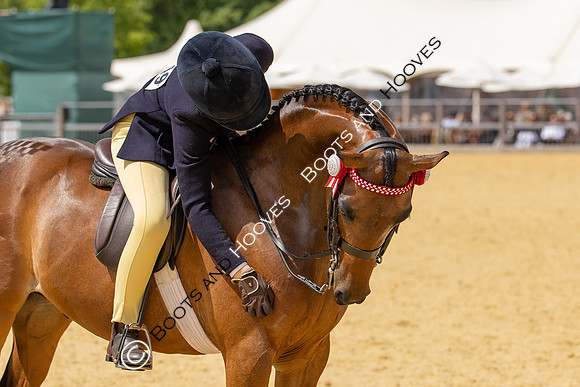 Royal Windsor Horse Show