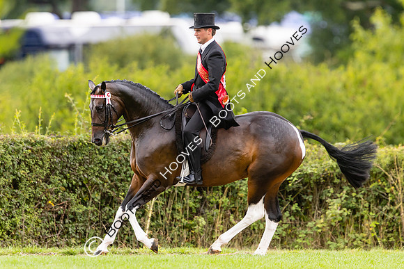 The Royal International Horse Show
