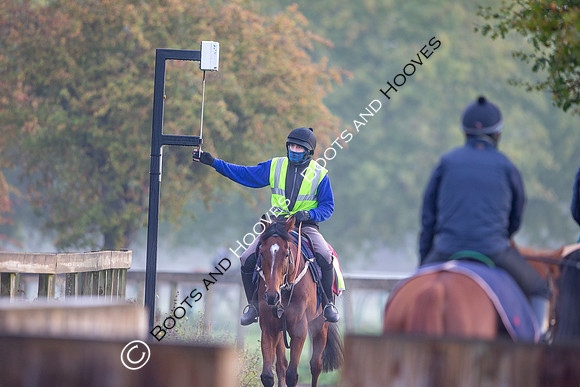 Newmarket