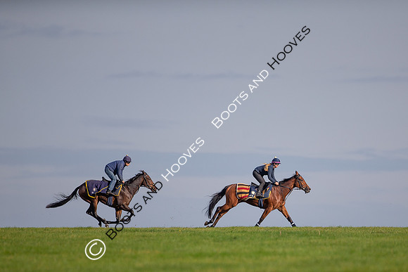 Newmarket
