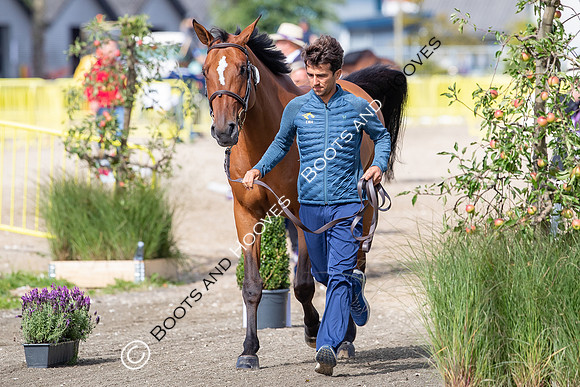 The FEI World Championships Herning 2022