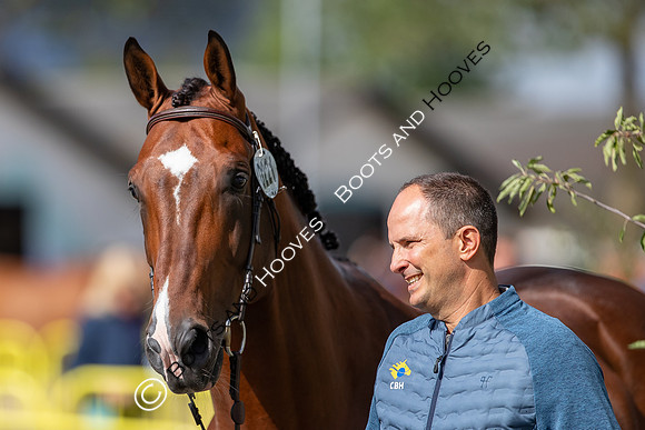 The FEI World Championships Herning 2022