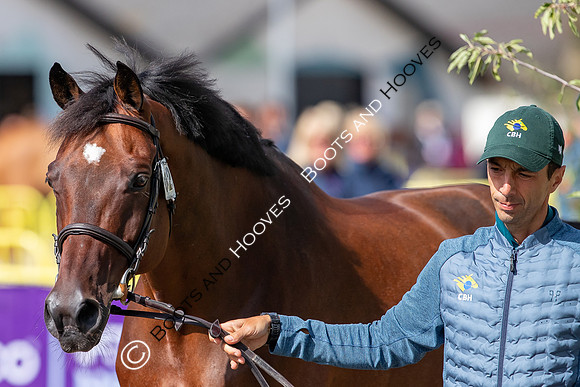 The FEI World Championships Herning 2022
