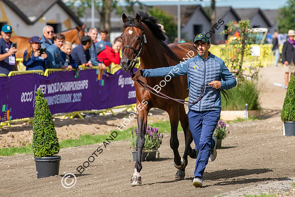The FEI World Championships Herning 2022