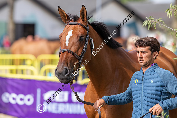 The FEI World Championships Herning 2022