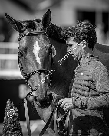 The FEI World Championships Herning 2022