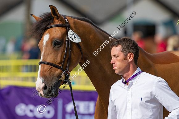 The FEI World Championships Herning 2022