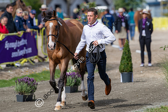 The FEI World Championships Herning 2022
