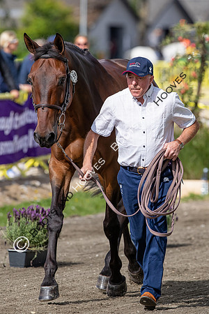 The FEI World Championships Herning 2022