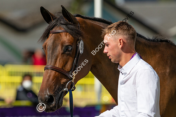 The FEI World Championships Herning 2022