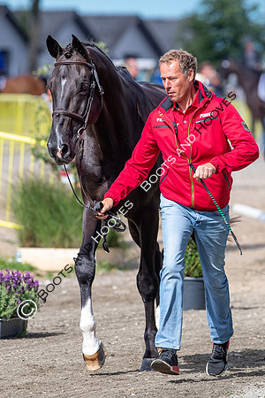 The FEI World Championships Herning 2022