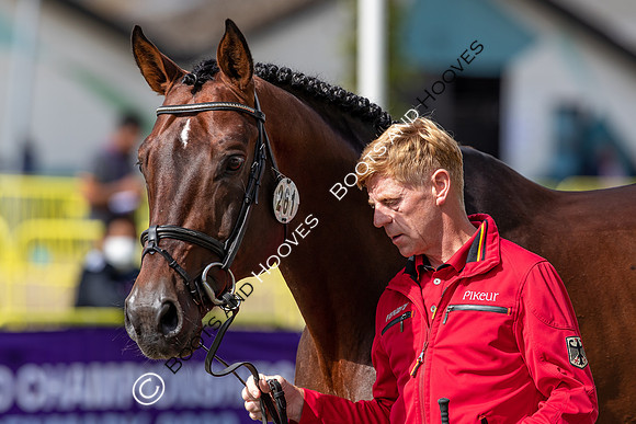 The FEI World Championships Herning 2022