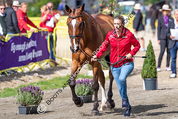 The FEI World Championships Herning 2022