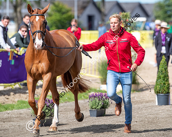 The FEI World Championships Herning 2022
