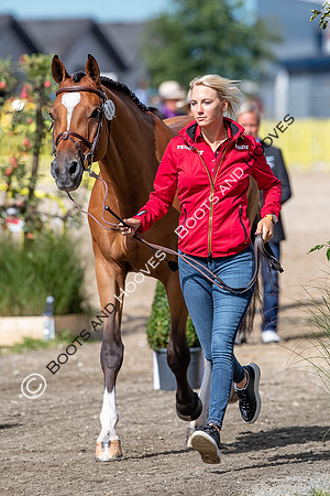 The FEI World Championships Herning 2022