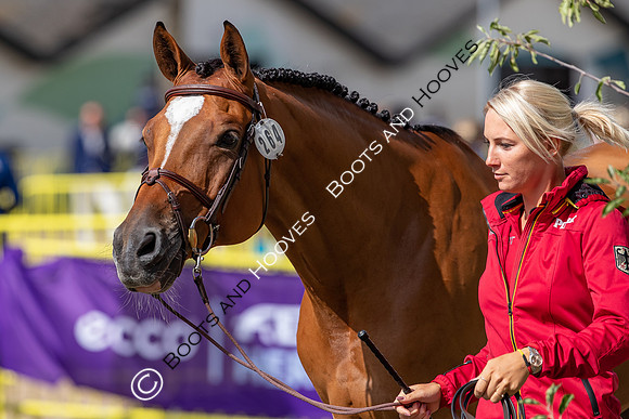 The FEI World Championships Herning 2022