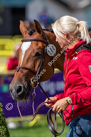 The FEI World Championships Herning 2022