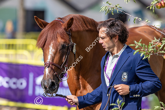 The FEI World Championships Herning 2022