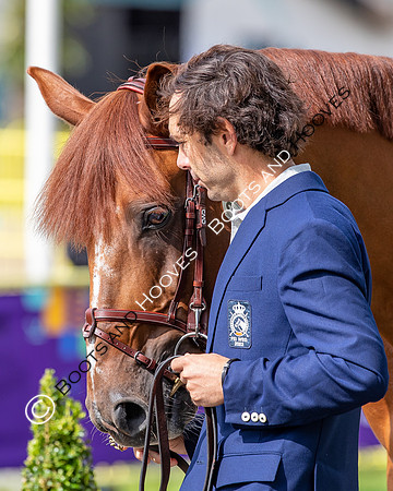 The FEI World Championships Herning 2022