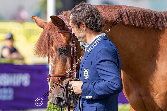 The FEI World Championships Herning 2022