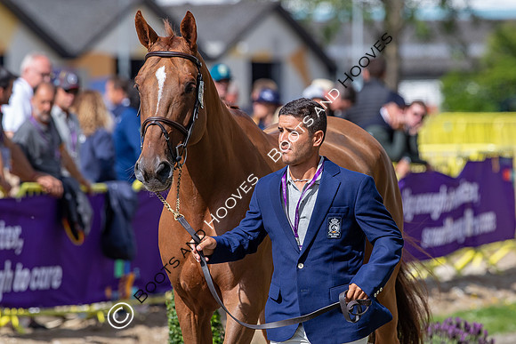 The FEI World Championships Herning 2022