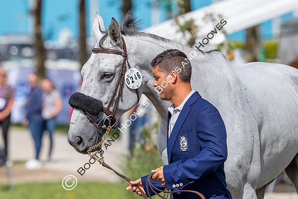 The FEI World Championships Herning 2022