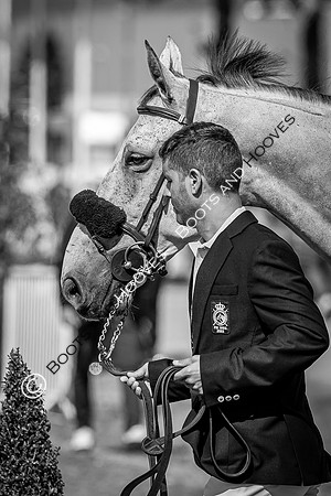 The FEI World Championships Herning 2022