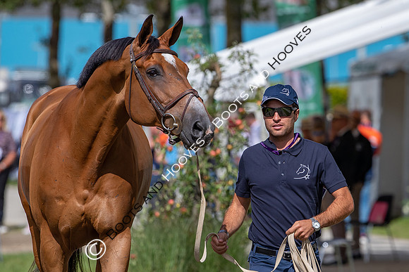 The FEI World Championships Herning 2022