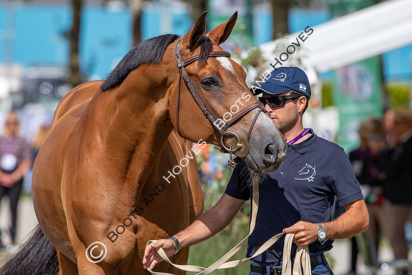 The FEI World Championships Herning 2022