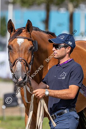 The FEI World Championships Herning 2022