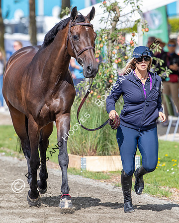 The FEI World Championships Herning 2022