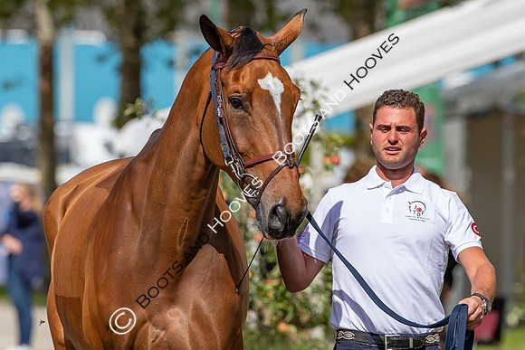 The FEI World Championships Herning 2022