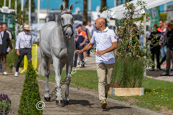 The FEI World Championships Herning 2022