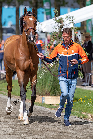 The FEI World Championships Herning 2022