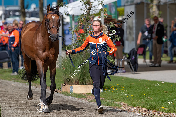 The FEI World Championships Herning 2022