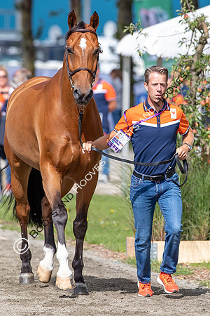 The FEI World Championships Herning 2022