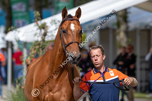 The FEI World Championships Herning 2022