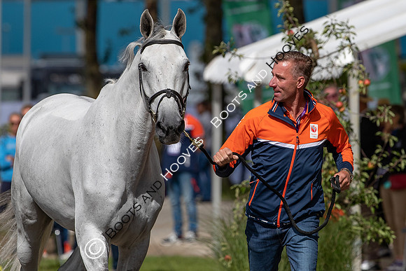 The FEI World Championships Herning 2022